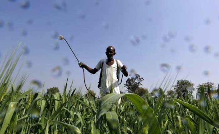 PM Modi's New Crop Insurance Scheme Reaches Out To Farmers