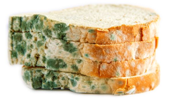 WHO Calls for Fighting Food-Borne Diseases That Can Be Deadly