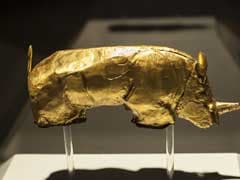 Culture War Brews Over South African Golden Rhino Figurine