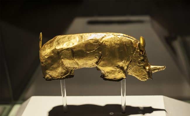 Culture War Brews Over South African Golden Rhino Figurine