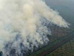 Indonesia Punishes More Than 20 Firms Over Deadly Forest Fires