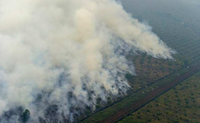 Indonesia Punishes More Than 20 Firms Over Deadly Forest Fires