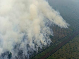 Indonesia Punishes More Than 20 Firms Over Deadly Forest Fires Indonesia Punishes More Than 20 Firms Over Deadly Forest Fires