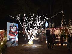 Islamabad's Christian Slum Dwellers Pray For Christmas Miracle