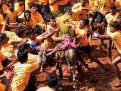 Tamil Nadu Minister Says State Government Making Efforts To Resume Jallikattu