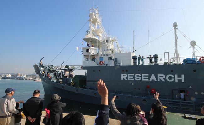 Japan Fleet Sets Sail for Antarctic Whale Hunt