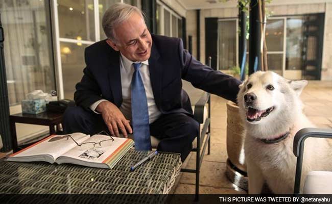 Benjamin Netanyahu Dog Quarantined After Biting Lawmaker, Minister