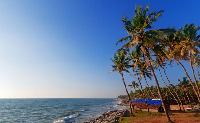 Inclusion Of Coconut As 'Tree' In Act Was An Error: Minister