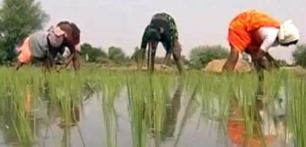 Andhra Pradesh Allots 623 Acres Land to Jain Irrigation
