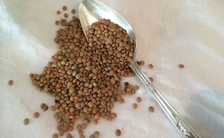 Lentils in the New Year Keep Resolutions on Track