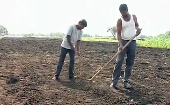 Farmers File Police Complaint Against IMD For 'Wrong' Forecast