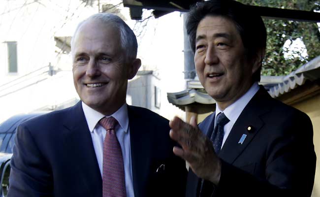 Australia 'Disappointed' At Japan Whaling: Malcolm Turnbull
