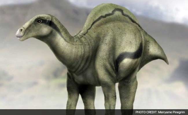 New Species Of 'Sail-Backed' Dinosaur Found In Spain