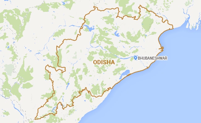 Odisha Government Officer Makes Public Her Transgender Identity