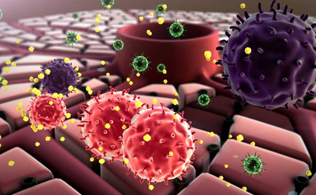 Aspergillus lentulus: All You Need To Know About This Drug Resistant Pathogen