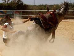 Lone Arab Woman Takes The Reins To Tame Horses On The Golan