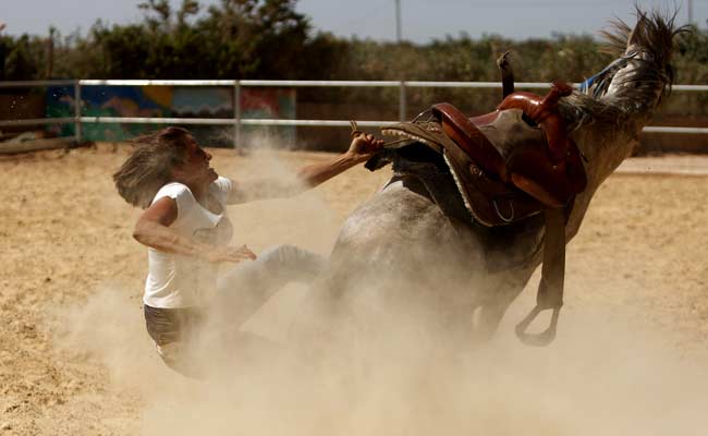 Lone Arab Woman Takes The Reins To Tame Horses On The Golan