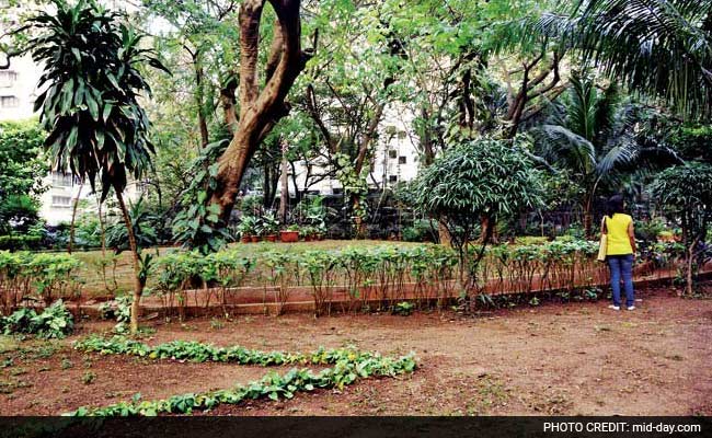 South Mumbai Hotel Pays Re 1 Annually For Cuffe Parade Plot