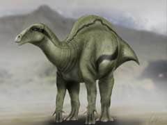 Unusual 'Sail-Backed' Dinosaur Roamed Spain 125 Million Years Ago