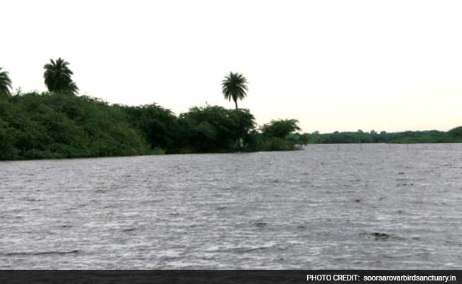 Allahabad High Court Summons Officials On Pollution In Soor Sarovar Bird Sanctuary
