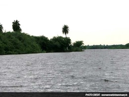 Allahabad High Court Summons Officials On Pollution In Soor Sarovar Bird Sanctuary Allahabad High Court Summons Officials On Pollution In Soor Sarovar Bird Sanctuary