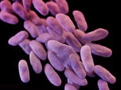 Superbug Known As 'Phantom Menace' On The Rise In US