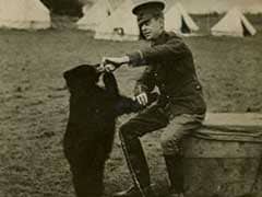New Book Chronicles Real Bear Behind 'Winnie-The-Pooh'
