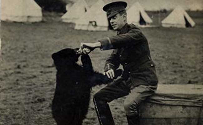 New Book Chronicles Real Bear Behind 'Winnie-The-Pooh'