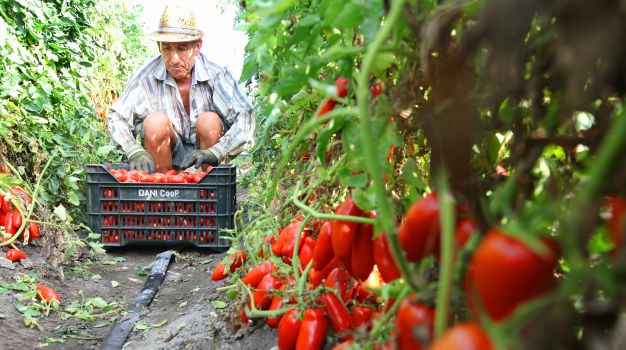 The Secret to Mastering Italy's Best Tomato Sauces