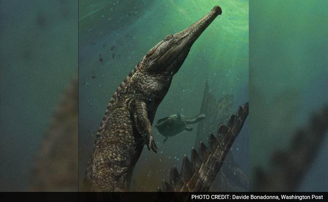 Terrifying Ancient Crocodile Discovered In The Sahara Was The Size Of A Bus