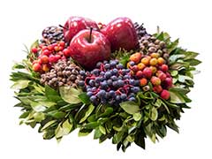 Benefits of Berries: छोटा फल समझकर ही न करें इग्नोर, बेरीज बड़ी बीमारियों से भी करती हैं बचाव, जानें 8 फायदे