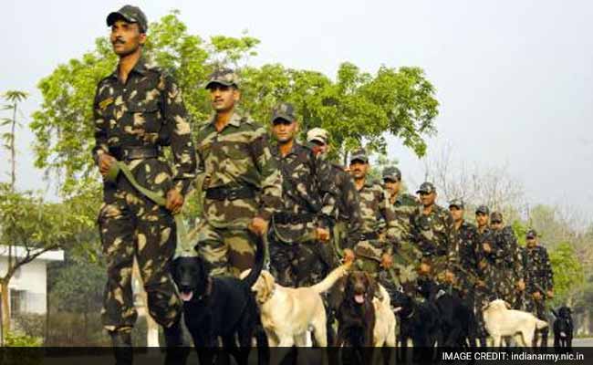 आईबी ने सैन्य ठिकानों की सुरक्षा के लिए कुत्तों को तैनात करने का सुझाव दिया