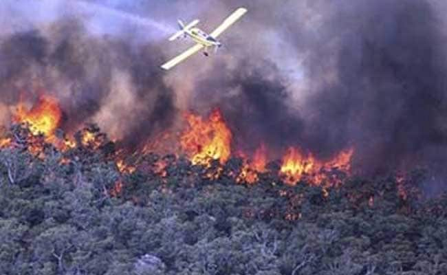 Australian Wildfires Raze 95 Homes In Single Township