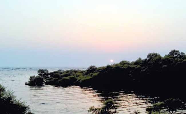 मुंबई : समंदर के किनारे सेल्फी लेने पर लगेगी रोक, बांद्रा की दुर्घटना के बाद पुलिस सतर्क मुंबई : समंदर के किनारे सेल्फी लेने पर लगेगी रोक, बांद्रा की दुर्घटना के बाद पुलिस सतर्क