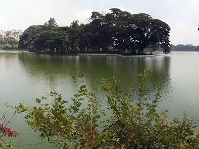 बेंगलुरु की झीलों पर निजी कंपनियों के साथ सरकार ने भी कर लिया अतिक्रमण