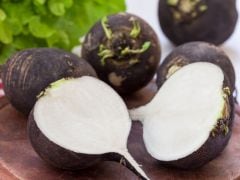 Who Knew Radishes Could Be Black, and Soothe A Cold?
