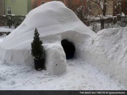 An Igloo In New York Was Listed On Airbnb An Igloo In New York Was Listed On Airbnb
