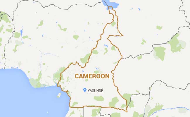 At Least 4 Killed In Twin Suicide Attack In North Cameroon