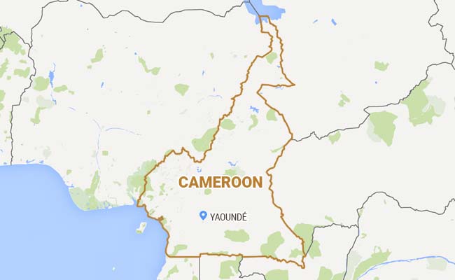 Ten Killed In Terrorist Suicide Bombing In Cameroon: Security Source