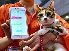 The Truth About Cats And Dogs: Japan Firm Has An App For That