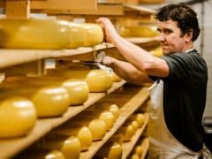 Russian Cheesemakers Celebrate Sanctions, And Hope They Continue