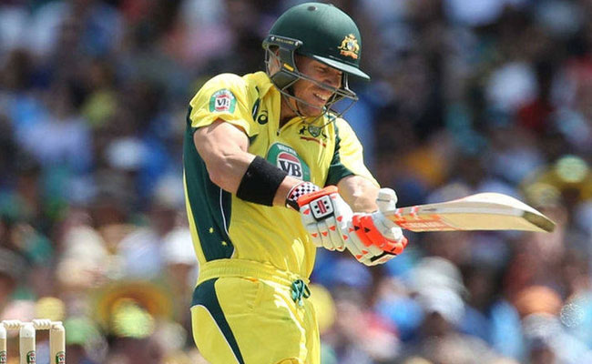 ऑस्ट्रेलियाई ओपनर डेविड वॉर्नर ने जीता एलन बॉर्डर मेडल
