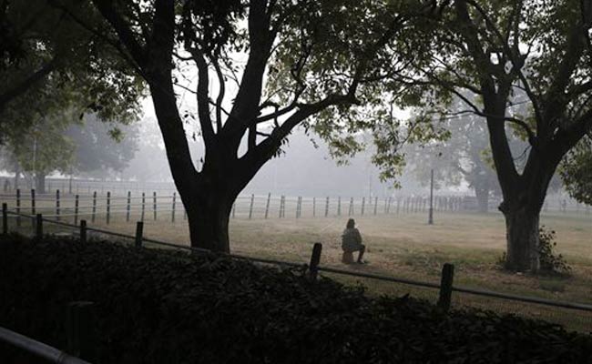 Warm Sunday Morning In Delhi