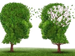 Tackling Memory Loss: How Marijuana May Help Slow Down Brain Ageing