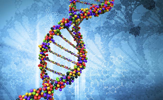 Our DNA Less 'Human' Than Scientists Previously Thought: Research