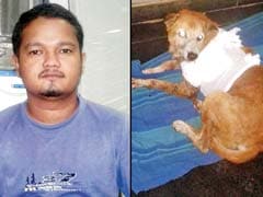 Man Arrested For Stabbing Dog After Animal Bit His Daughter