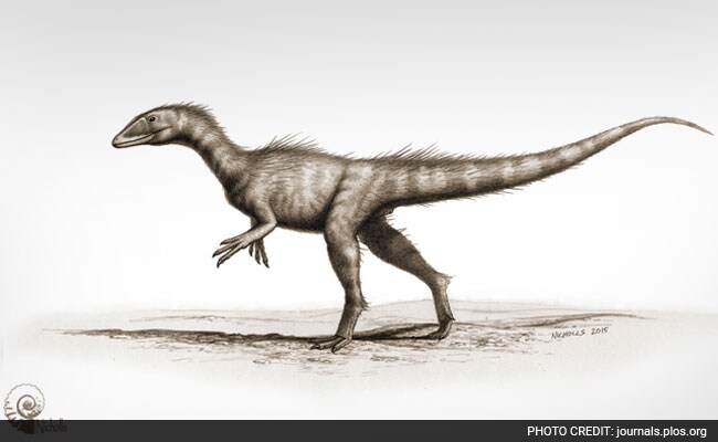 Meet The Welsh Dinosaur Scientists Have Dubbed The 'Dragon Robber'