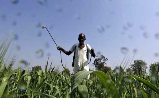 केंद्र सरकार की किसान विरोधी छवि मिटाने की कोशिश है फसल बीमा योजना