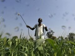 Tamil Nadu Farmers Start 'Indefinite Protest'