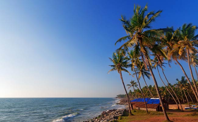 Goa Amendment On Coconut Tree Wrong, Legally Untenable: Panel